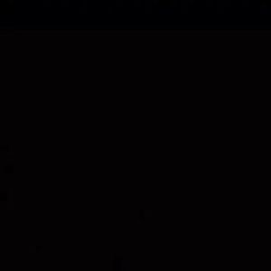 Meet your Posher, Dennis